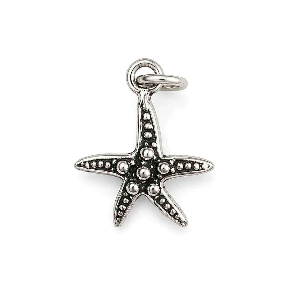 charm estrella de mar plata 925 para pulsera o collar estilo Pandora