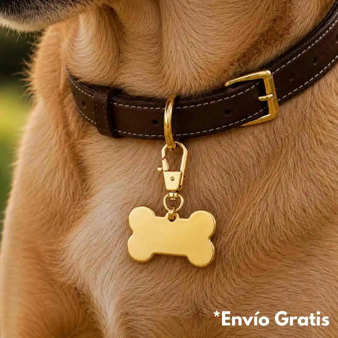 Placa de identificación dorada para perro personalizada con el nombre, datos te contacto y rostro de tu mascota.