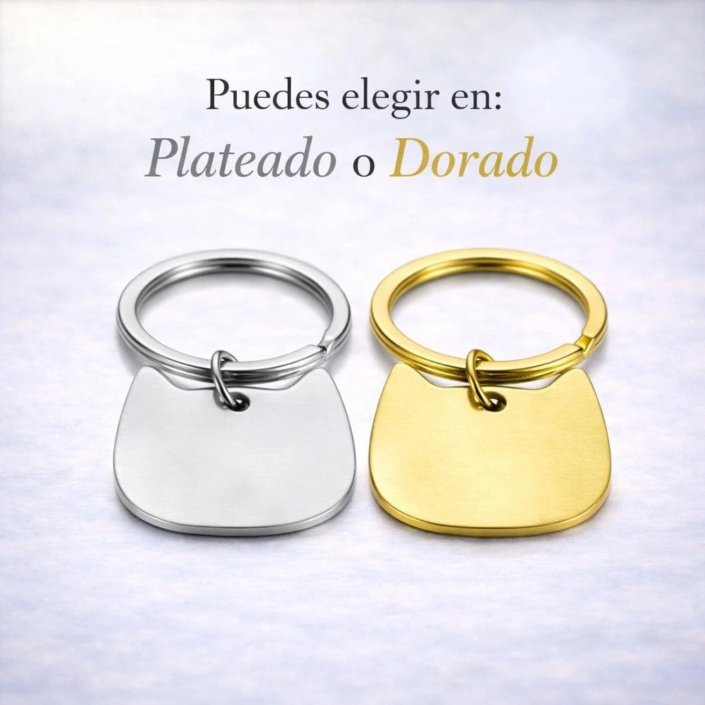 Placa Identificación Gato Personalizada