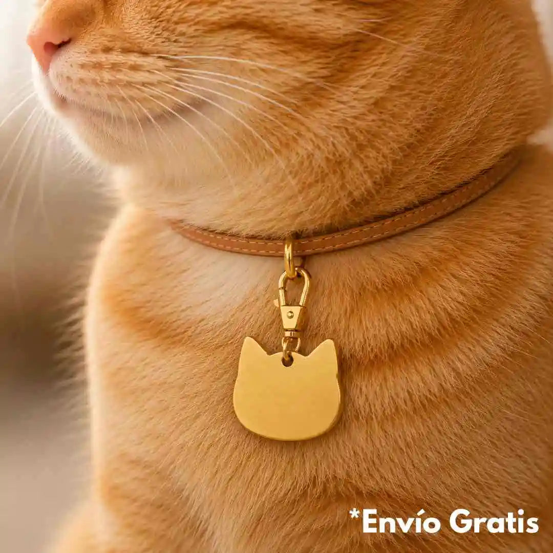 Placa de identificación para gato plateada personalizada con nombre, rostro de tu mascota y datos de contacto