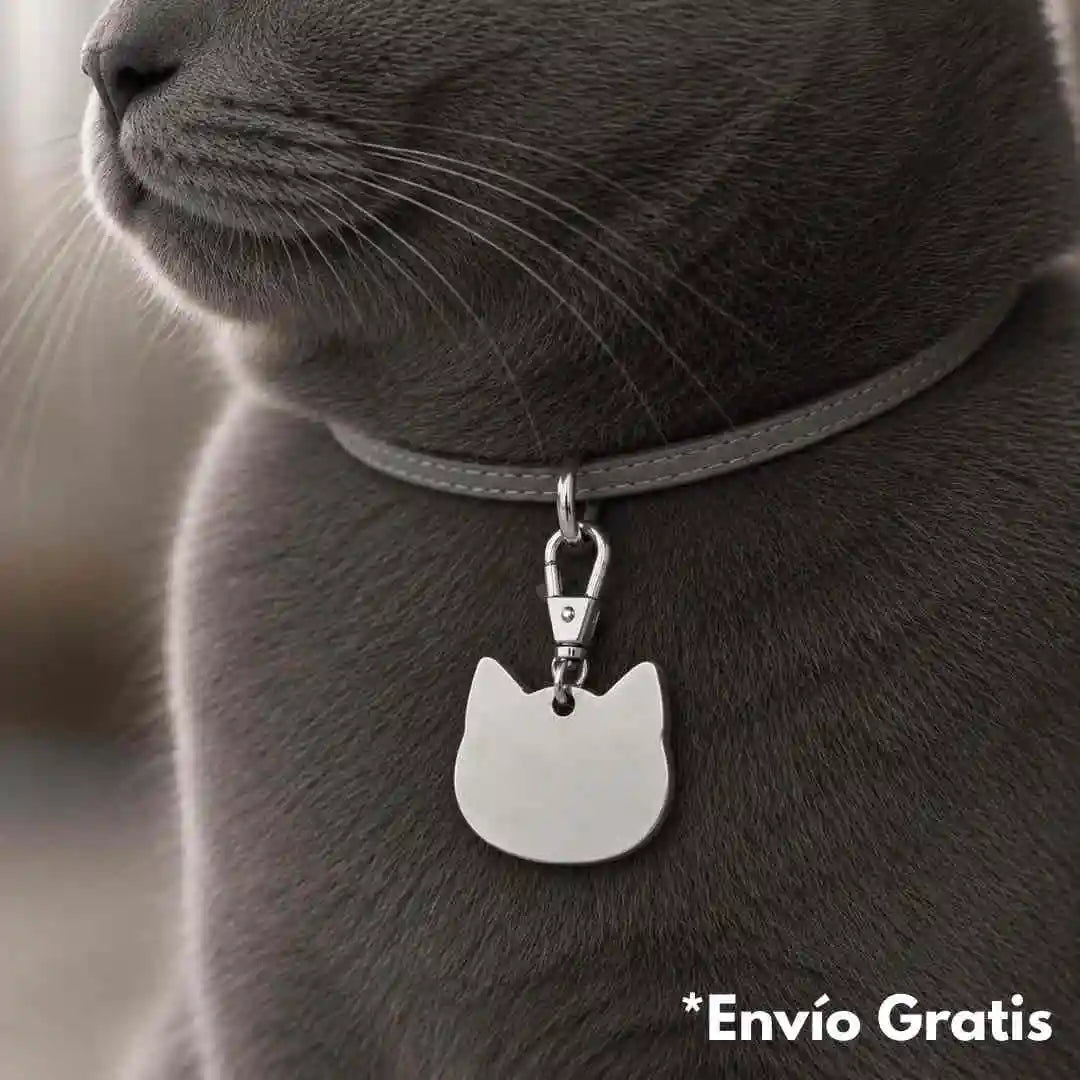 Placa de identificación para gato plateada personalizada con nombre, rostro de tu mascota y datos de contacto