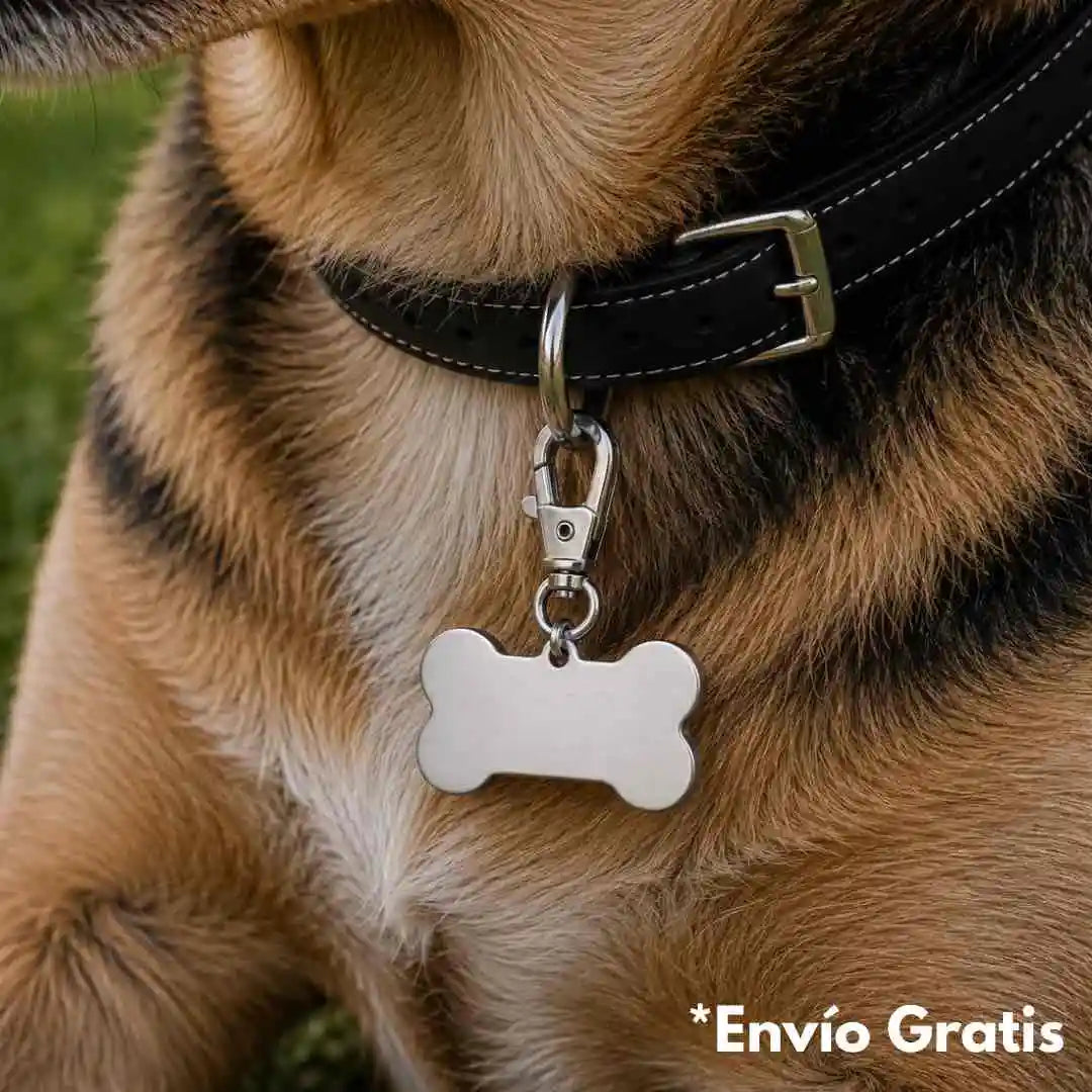 Placa de identificación plateada para perro personalizada con el nombre, datos te contacto y rostro de tu mascota.